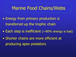 Marine Food Chains/Webs