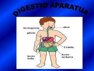 DIGESTIO APARATUA