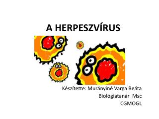 A HERPESZVÍRUS