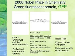 2008 Nobel Prize in Chemistry Green fluorescent protein, GFP