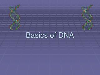 Basics of DNA