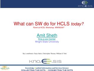 What can SW do for HCLS today? Panel at HCSL Workshop, WWW2007