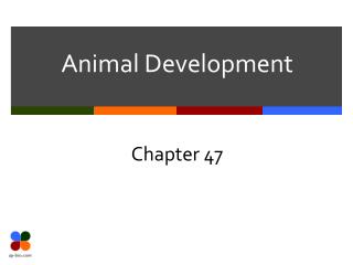 Animal Development