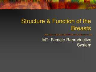Structure &amp; Function of the Breasts