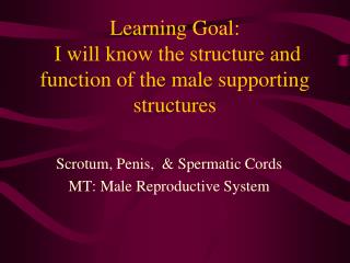 Learning Goal: I will know the structure and function of the male supporting structures