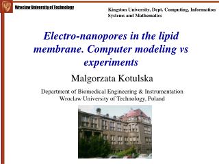Electro-nanopores in the lipid membrane. Computer modeling vs experiments
