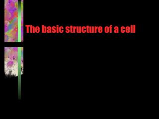 The basic structure of a cell