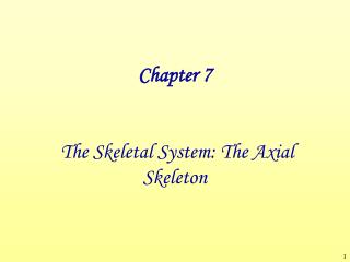 Chapter 7 The Skeletal System: The Axial Skeleton