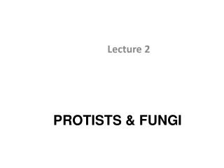 PROTISTS &amp; FUNGI