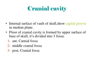 Cranial cavity