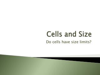 Cells and Size