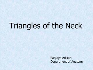Triangles of the Neck
