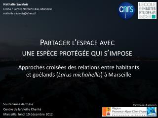 Soutenance de thèse Centre de la Vieille Charité Marseille, lundi 10 décembre 2012