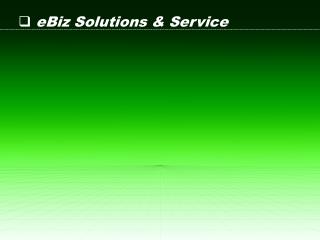 eBiz Solutions &amp; Service