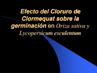 Efecto del Cloruro de Clormequat sobre la germinación en Oriza sativa y Lycopersicum esculentum