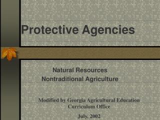 Protective Agencies