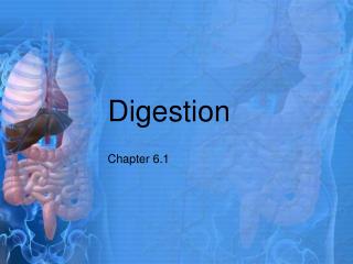 Digestion