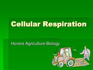 Cellular Respiration