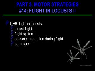 CH6: flight in locusts locust flight flight system sensory integration during flight summary