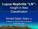 Lupus Nephritis LN : Insight in New Classification