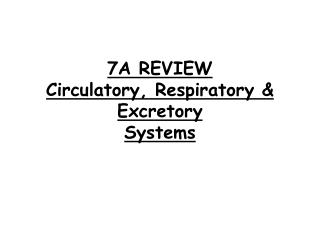 7A REVIEW Circulatory, Resp iratory &amp; Excretory Systems