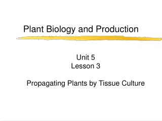 Plant Biology and Production