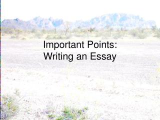 Important Points: Writing an Essay