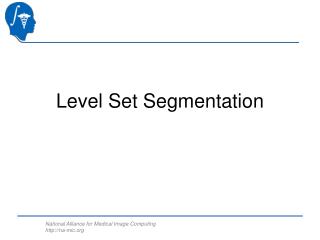 Level Set Segmentation