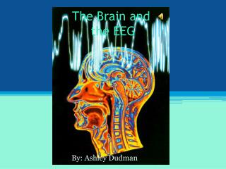 The Brain and the EEG