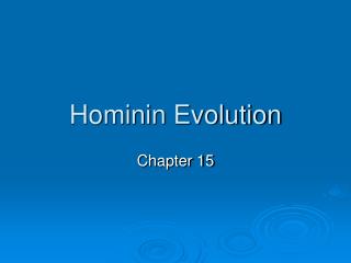 Hominin Evolution