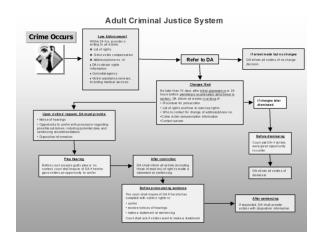 The Adult Criminal Justice System