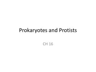 Prokaryotes and Protists