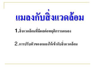 แมลงกับสิ่งแวดล้อม