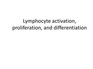 Lymphocyte activation, proliferation, and differentiation