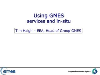 Using GMES services and in-situ