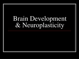 Brain Development &amp; Neuroplasticity