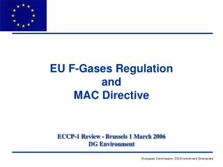 ECCP-1 Review - Brussels 1 March 2006 DG Environment