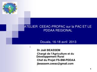 ATELIER CEEAC-PROPAC sur la PAC ET LE PDDAA REGIONAL Douala , 16-18 avril 2013
