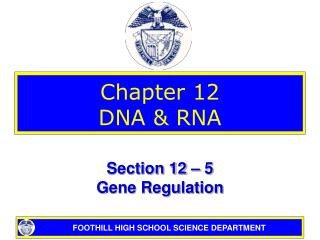 Chapter 12 DNA &amp; RNA