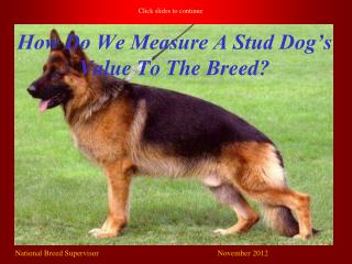 How Do We Measure A Stud Dog’s Value To The Breed?