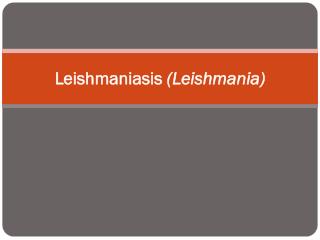 Leishmaniasis (Leishmania)