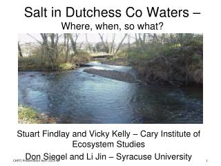 Salt in Dutchess Co Waters – Where, when, so what?