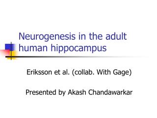 Neurogenesis in the adult human hippocampus