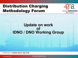 Update on work of IDNO / DNO Working Group