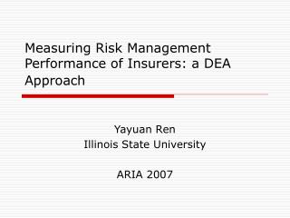 Measuring Risk Management Performance of Insurers: a DEA Approach