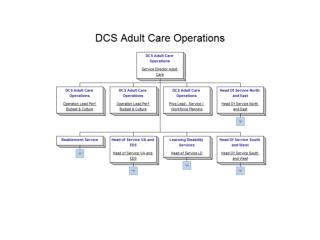 5 RFI 3484 DCS Adult Social Care