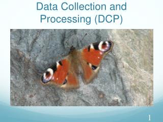 Data Collection and Processing (DCP)