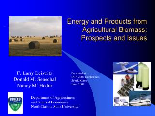 Energy and Products from Agricultural Biomass: Prospects and Issues