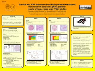 Survivin and XIAP expression in multiple pulmonal metastases