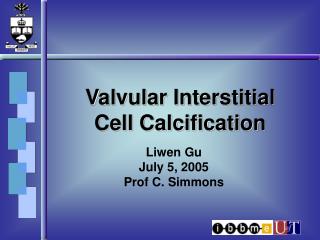 Valvular Interstitial Cell Calcification